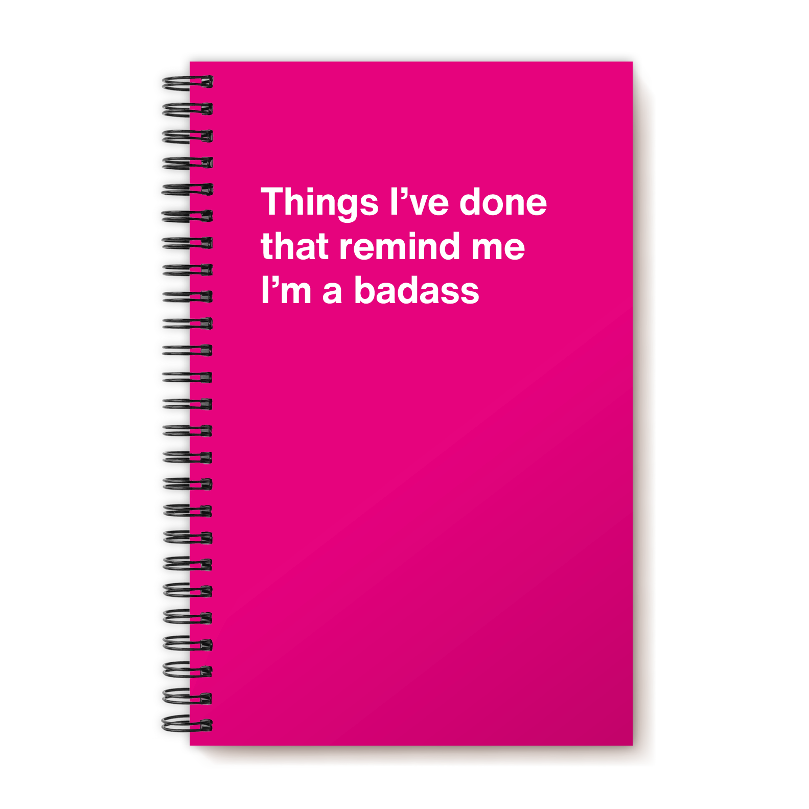 A funny notebook from WTF Notebooks® entitled 