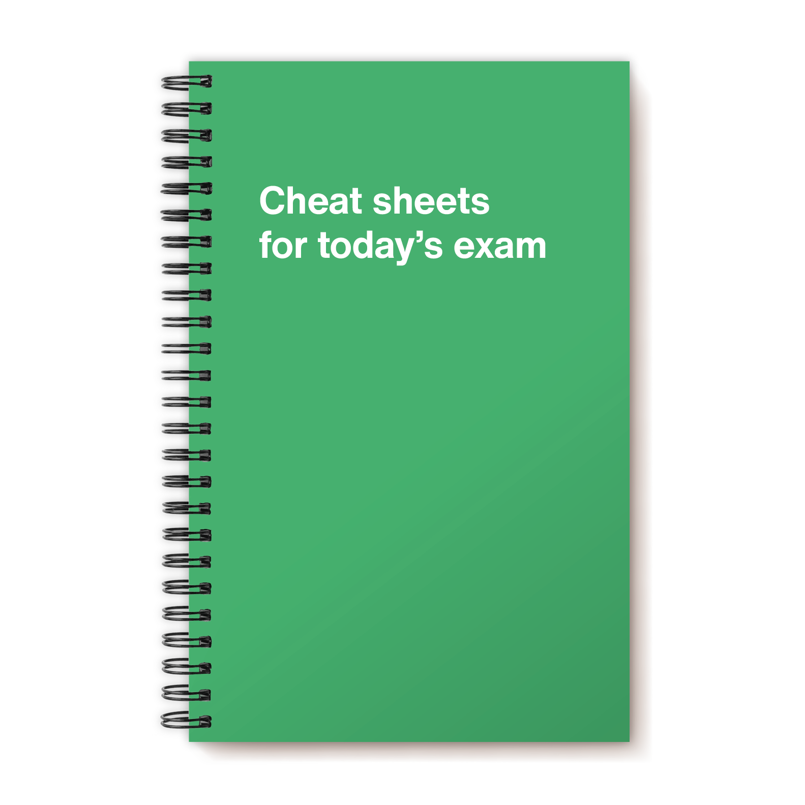 A funny notebook from WTF Notebooks® entitled 