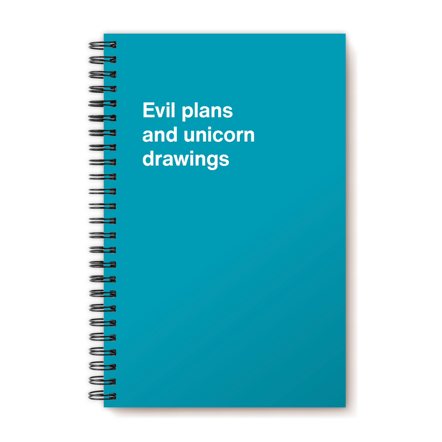 A funny notebook from WTF Notebooks® entitled "Evil plans and unicorn drawings"